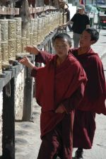 Mlad mnii u modlitebnch mlnk, Lhasa, Tibet