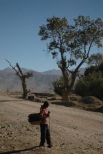 Dvka s koem na cest, Tibet