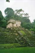 Templo del Conde | Palenque, Mexico