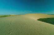 Psen duna ve sv osamlosti, Mongolsko