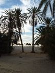 Mal velbloud karavana za palmami, Glissia, Tunis
