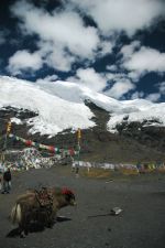 V sedle Karola | Tibet