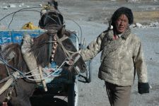 Drok | Mount Everest, Tibet
