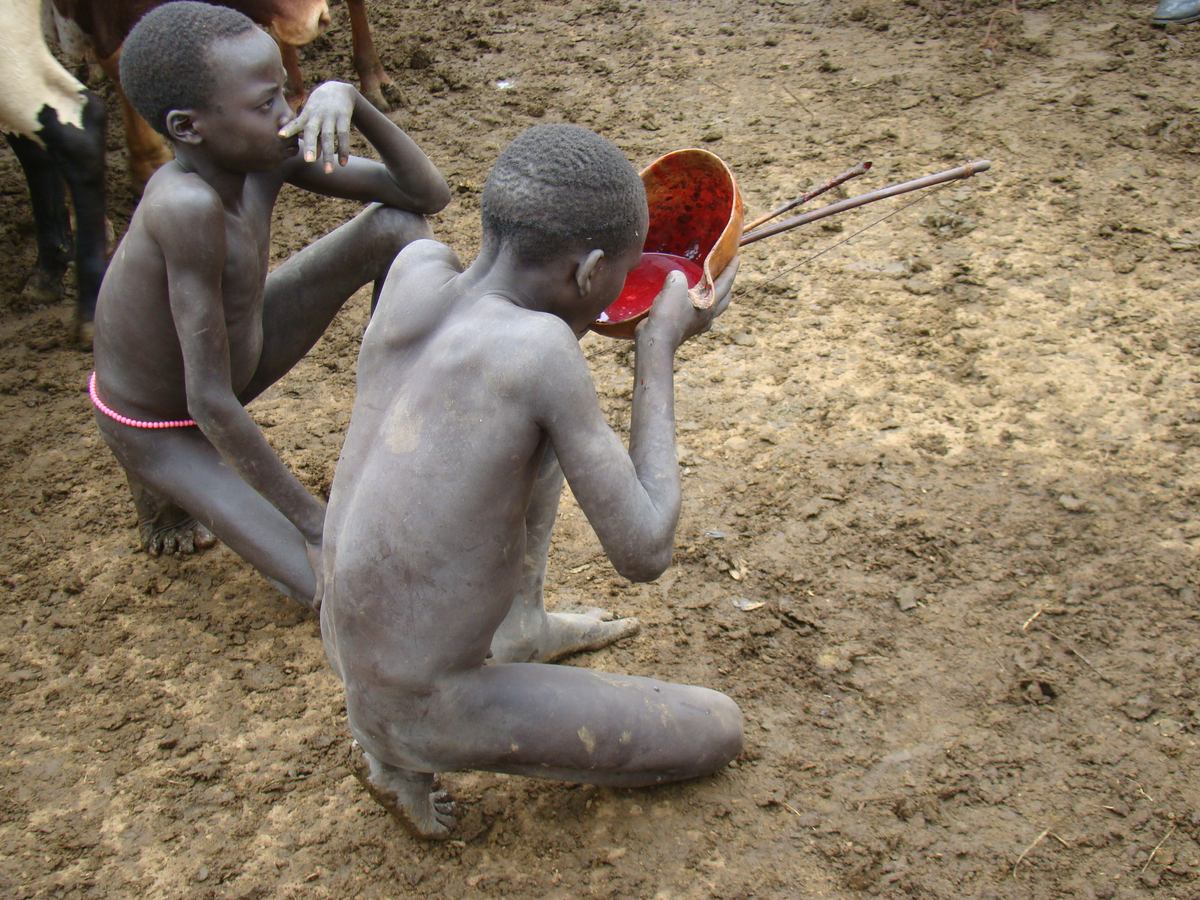 Jihozpadn Etiopie, dol Omo, Kibish: ritul nastelen krvy - chlapec pije erstv nachytanou krev, Cow blood ceremony