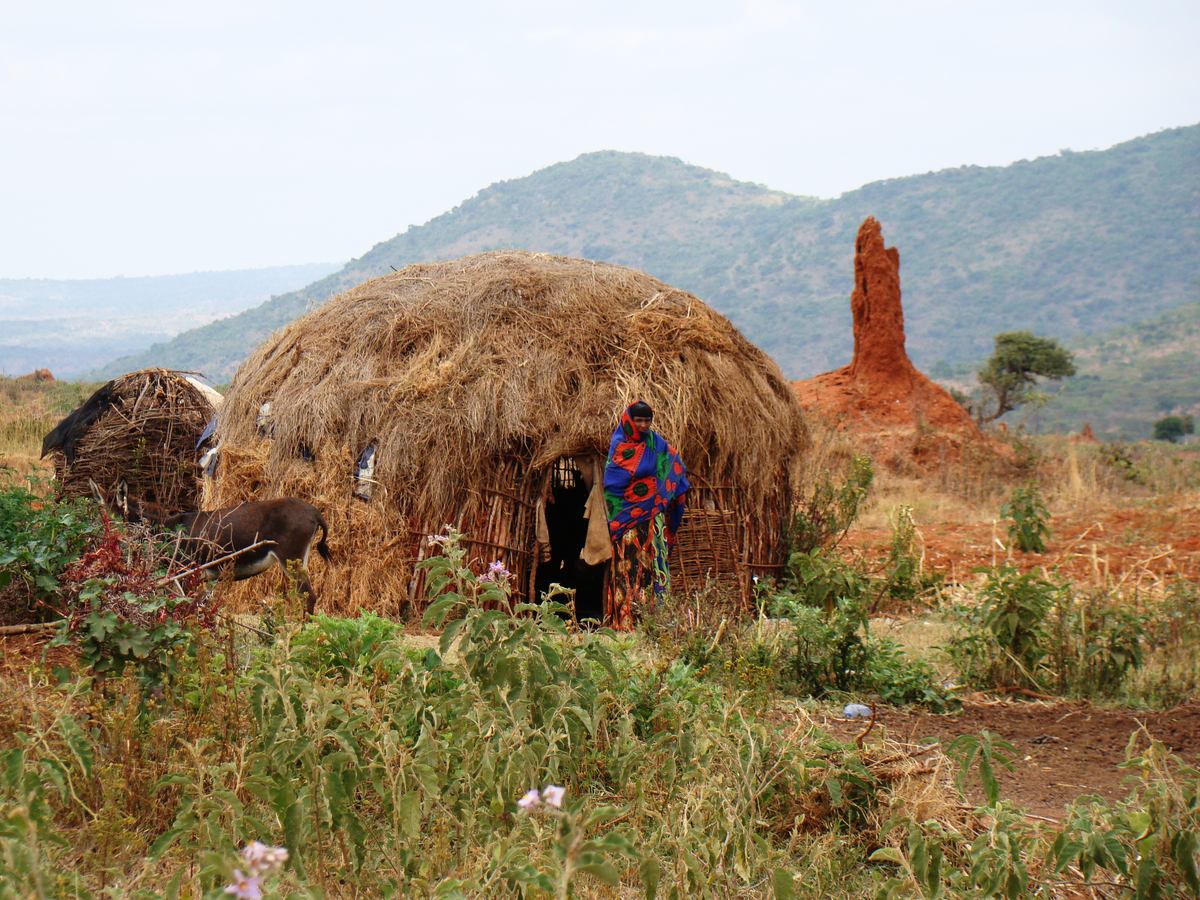 Cestopis z jihozpadn sti Etiopie: Vesnice kmene Borana kousek od msta Yabello byla skoro vylidnn, protoe vichni odchzeli k meit na bohosluby.