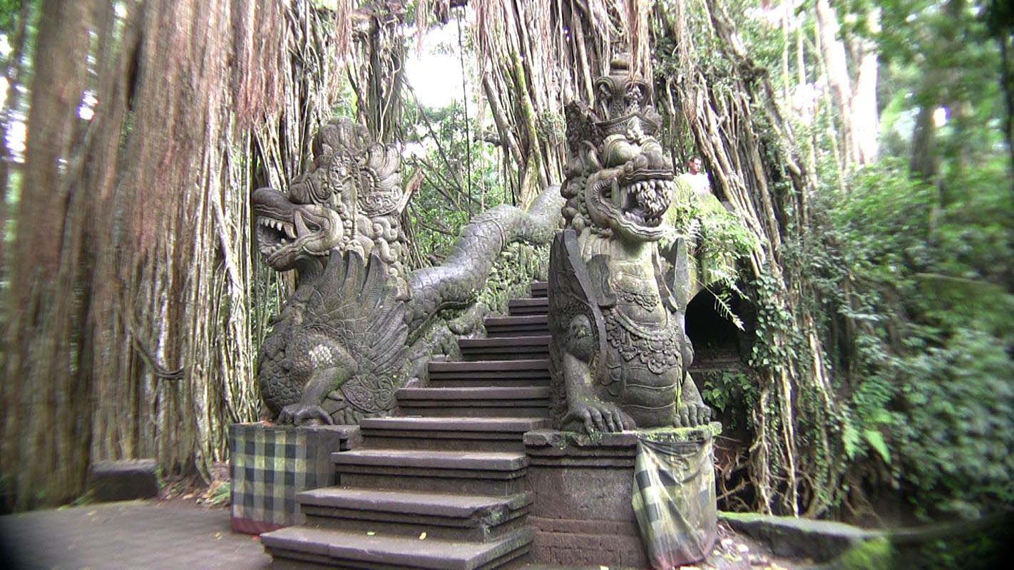 Obrzky ke strnce cestopis Indonsie: Monkey forest na ostrov Bali - draci u schodit