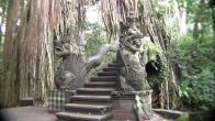 Obrázky ke stránce cestopis Indonésie: Monkey forest na ostrově Bali - draci u schodiště