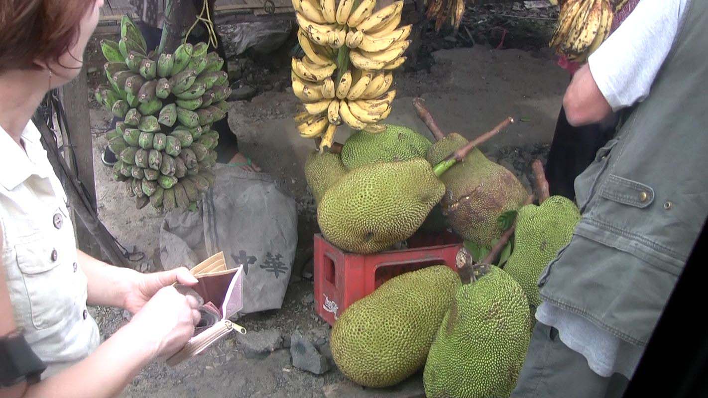Obrzky ke strnce cestopis Indonsie, Sumatra: kupujeme jackfruit