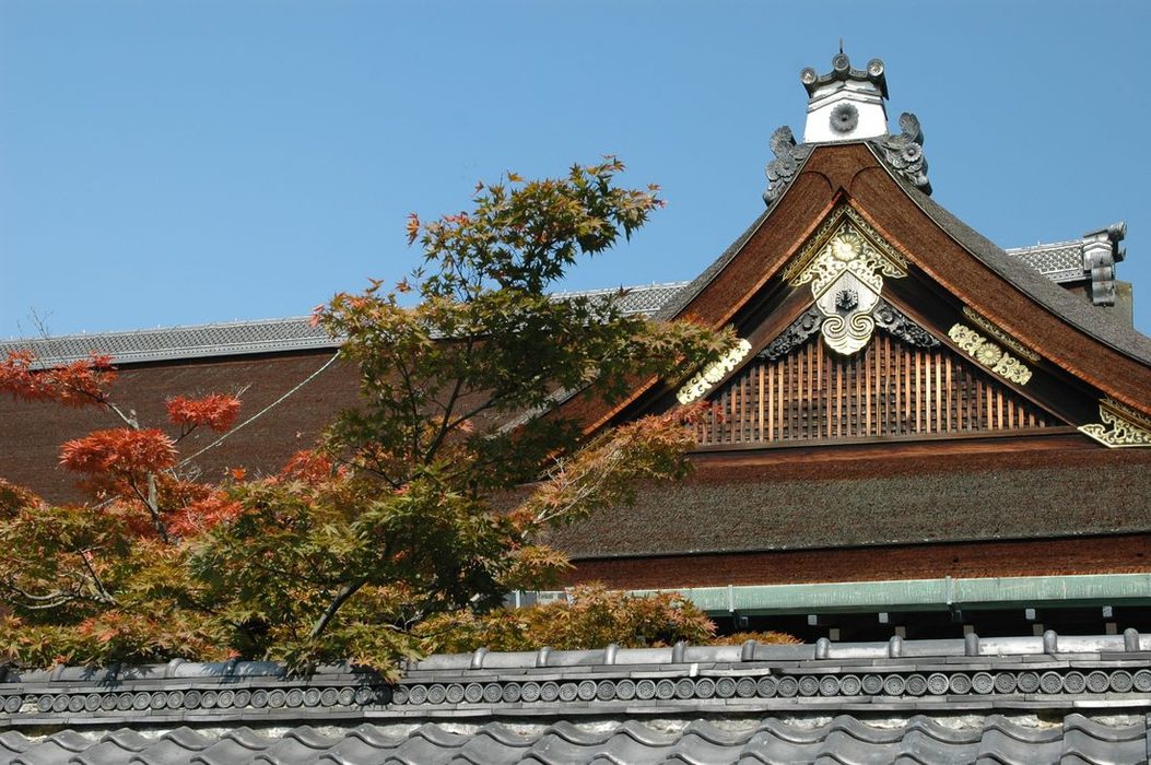 Obrzky k cestopisu Japonsko: tt stechy v krlovskm palci v Kytu