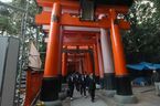 Svatyn Deseti tisc tori - Fushimi Inari ve mst Kyto