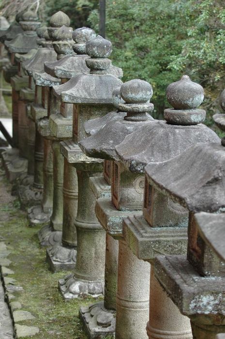 Obrzky k cestopisu Japonsko: Svatyn Kasuga Taisha v Nae
