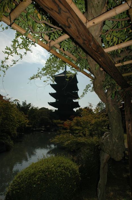 Obrzky k cestopisu Japonsko - Kjto - Toji Temple