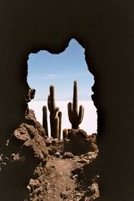 Kaktusy prhledem z st jeskyn na ostrov Incahuasi v Salar de Uyuni