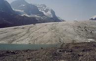 Ledovec Athabaska, Kanada