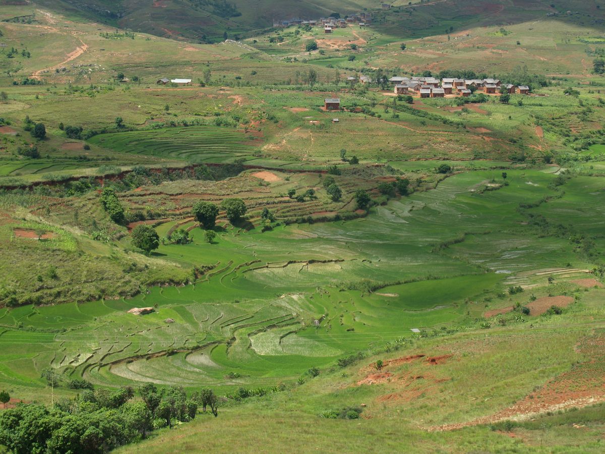 Cestopis z Madagaskaru: krajina ped mstem Ambalavao