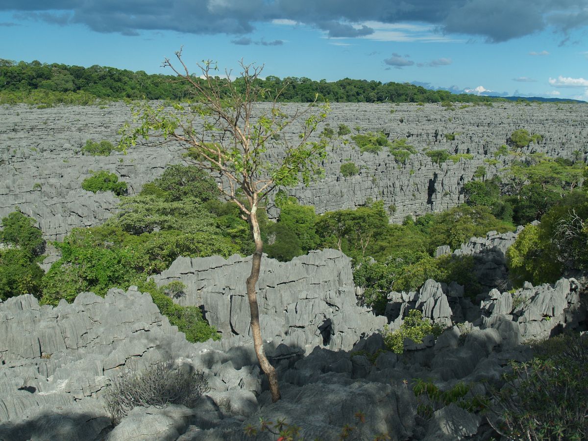 Cestopis z Madagaskaru: Tsingy Rary