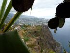 Pohled na Funchal z Cabo Girão