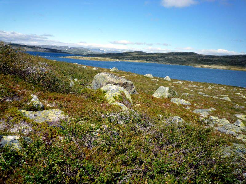 Obrázky k cestopisu Norsko: Hardangervidda