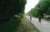 Hrobky dynastie Ming - kamenn zvata kolem cesty duch, na