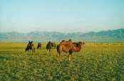 Nevm pro, ale nikdy jsem si Mongolsko nespojoval s velbloudy. Samozejm chybn.