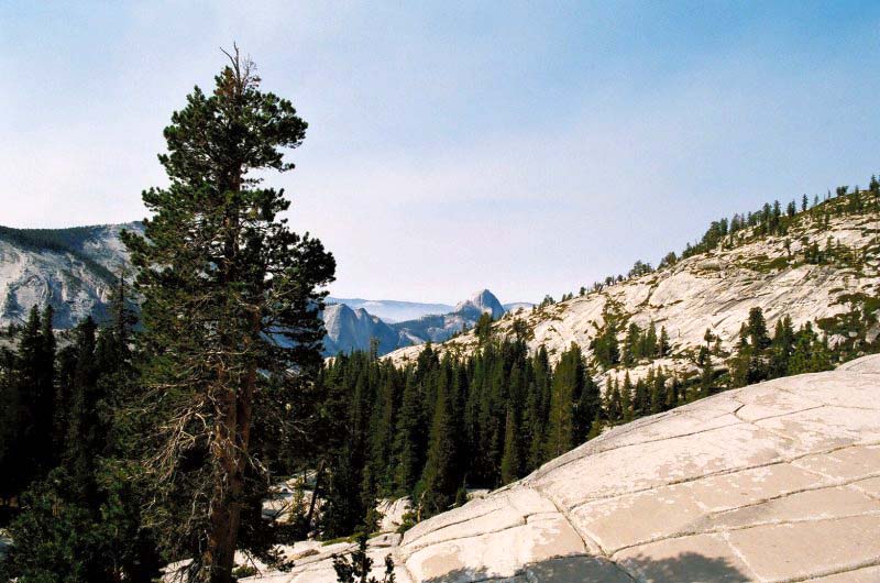 Obrzek k cestopisu parky zpadn sti USA - Tioga Pass nad Yosemitte
